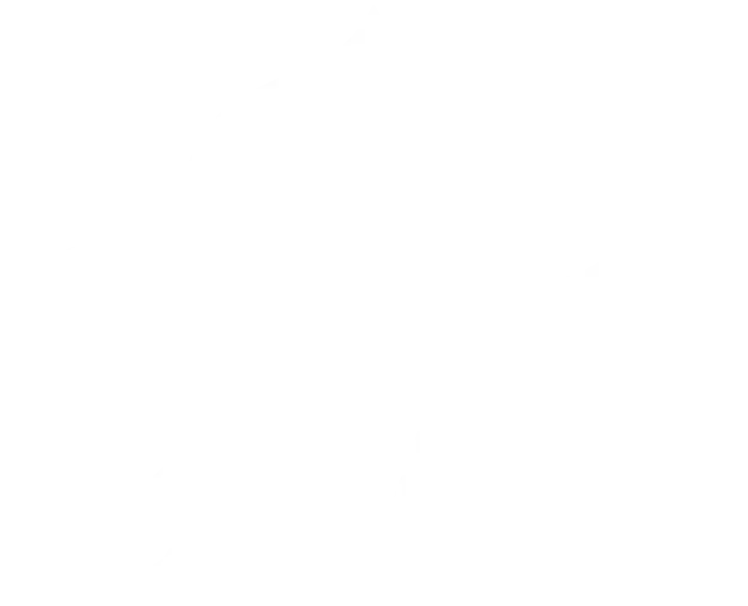 Brighton Maintenance Team